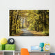 Road through the autumn forest on a sunny morning Wall Mural