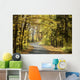 Road through the autumn forest on a sunny morning Wall Mural