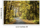 Road through the autumn forest on a sunny morning Wall Mural
