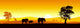 Stock vector of African wildlife Wall Mural