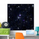 Stars in the Space Wall Mural