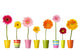 flower nature garden botany daisy bloom pot Wall Decal