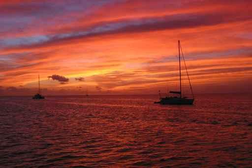 Martinique Wall Decal