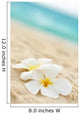 Temple flower on the beach Wall Mural