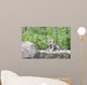Wolf Cub Rock Wall Decal