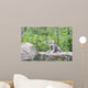 Wolf Cub Rock Wall Decal
