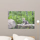 Wolf Cub Rock Wall Decal