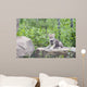 Wolf Cub Rock Wall Decal