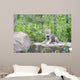 Wolf Cub Rock Wall Decal