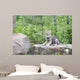Wolf Cub Rock Wall Decal