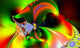 Abstract Art Fractal Wall Mural