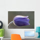 Macro Pasque Flower Wall Mural
