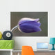 Macro Pasque Flower Wall Mural