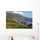 Big Sur Wall Decal