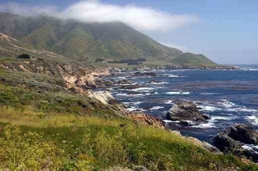 Big Sur Wall Decal