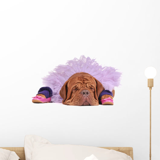 Dog Balerine Wall Mural