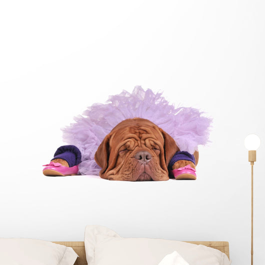 Dog Balerine Wall Mural