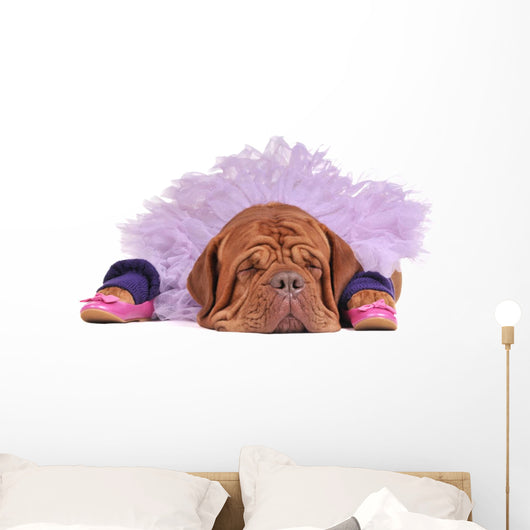 Dog Balerine Wall Mural