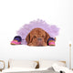 Dog Balerine Wall Mural