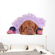 Dog Balerine Wall Mural