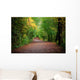 Path Woods