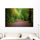 Path Woods