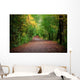 Path Woods