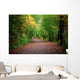 Path Woods