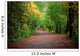Path Woods