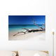 Caribic Selection Cuba V Wall Decal