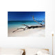Caribic Selection Cuba V Wall Decal