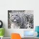 Snow Leopard Wall Decal