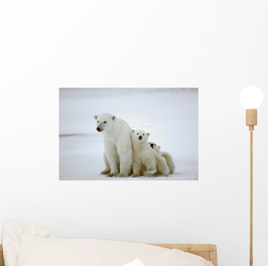 Polar She-bear with Cubs
