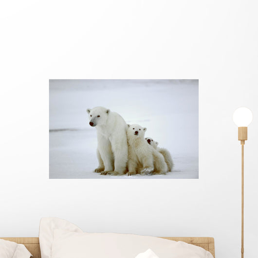 Polar She-bear with Cubs