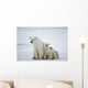 Polar She-bear with Cubs