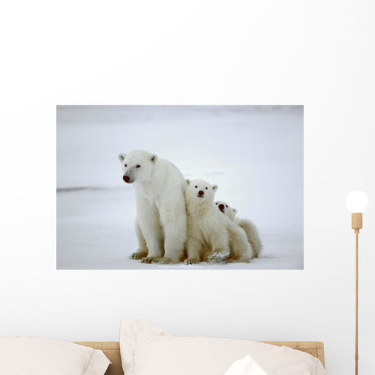 Polar She-bear with Cubs