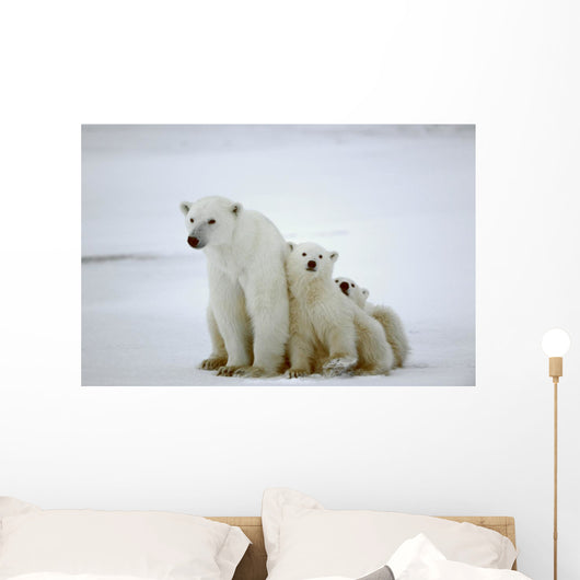 Polar She-bear with Cubs