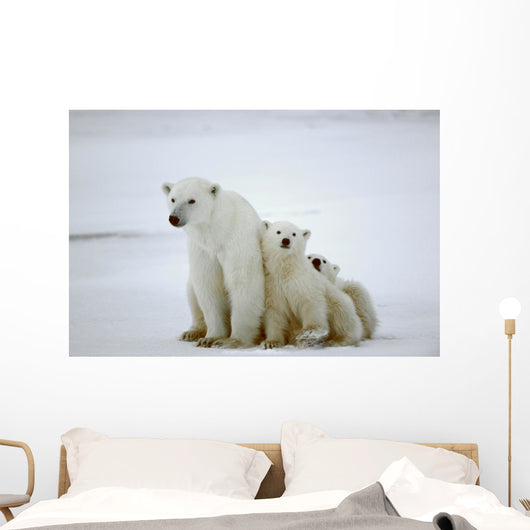 Polar She-bear with Cubs