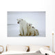 Polar She-bear with Cubs
