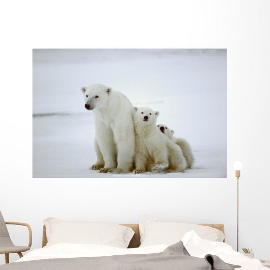 Polar She-bear with Cubs