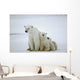 Polar She-bear with Cubs