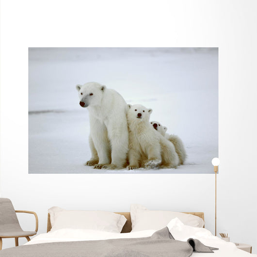 Polar She-bear with Cubs