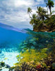 Tropical Diver and Snorkeler Wall Decal