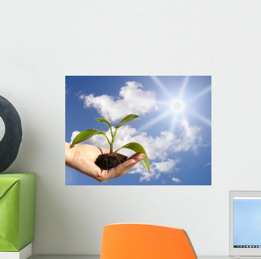 Plant in Hand Wall Mural