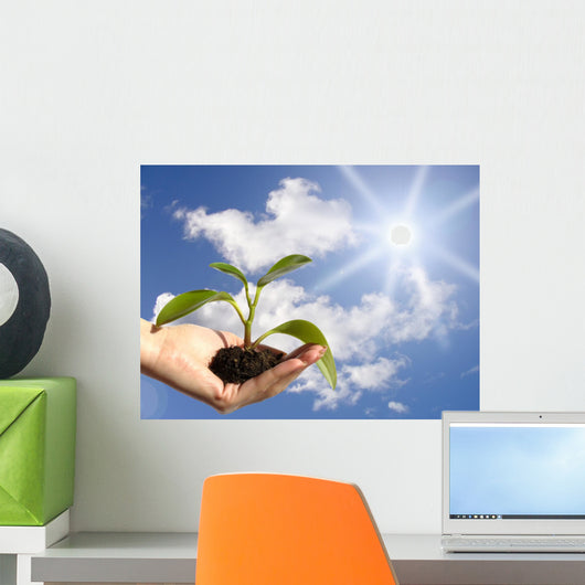 Plant in Hand Wall Mural