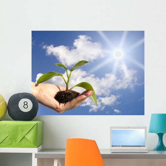 Plant in Hand Wall Mural