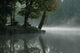 Lake Morning Wall Decal