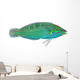 Melanurus Wrasse Wall Decal