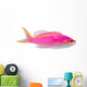 Purple Anthias Pseudanthias Tuka Wall Decal