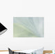 White Organza Fabric Texture